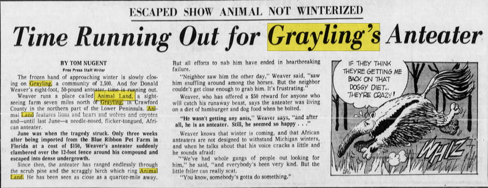 Animal Land - Oct 3 1970 Article On Anteater (newer photo)